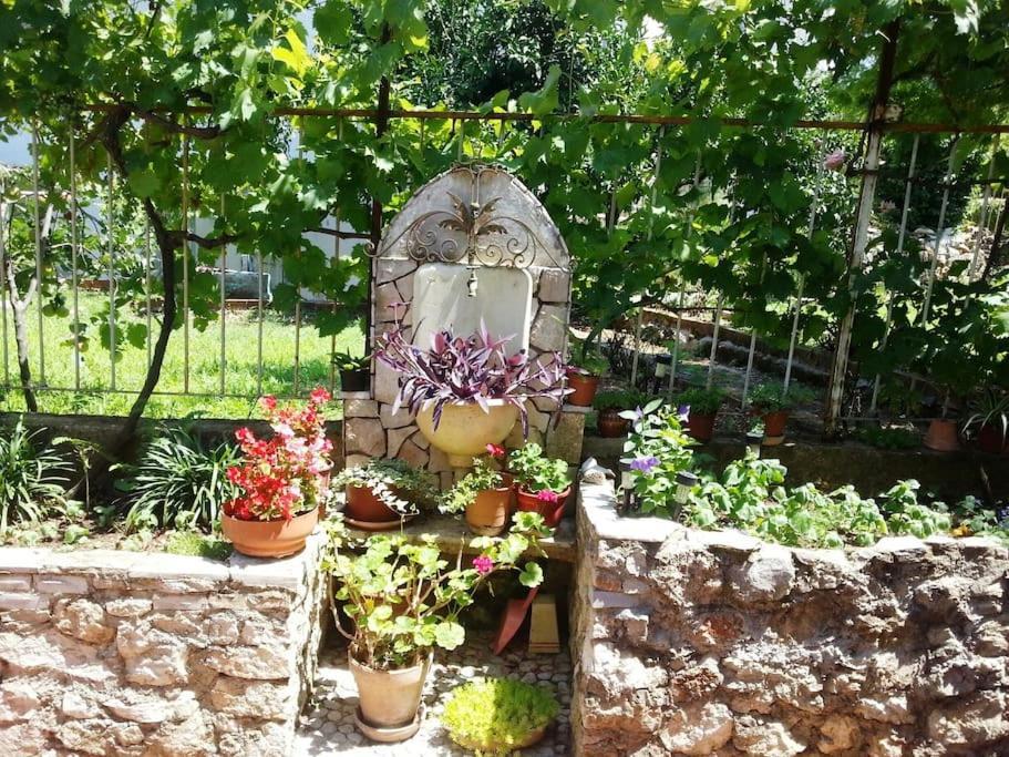 Dubrovnik quiet center Apartment Misur Extérieur photo